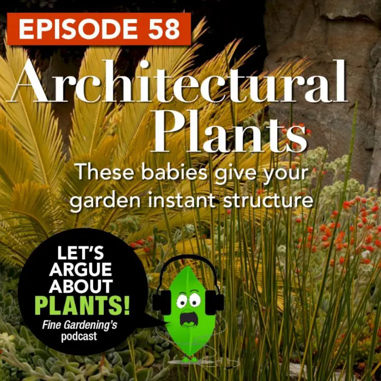 Ep. 58 Architectural Plants