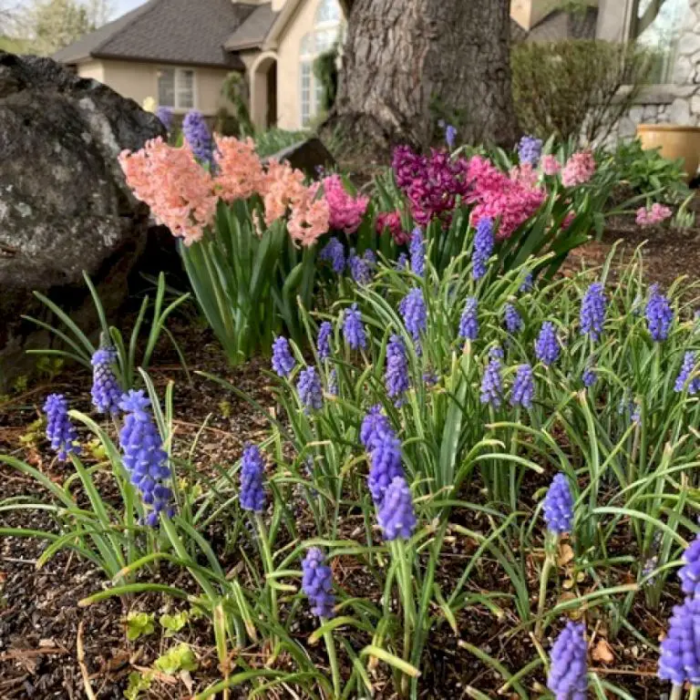 An Idaho Garden Comes to Life