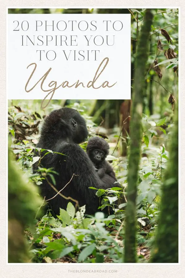 20-photos-to-inspire-you-to-visit-uganda