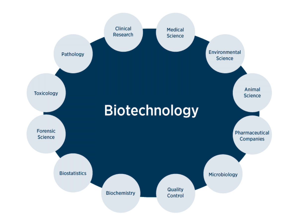 Many fields of science. Biotechnology. What is Biotechnology. White Biotechnology. What is Biotechnology and Biotechnology?.