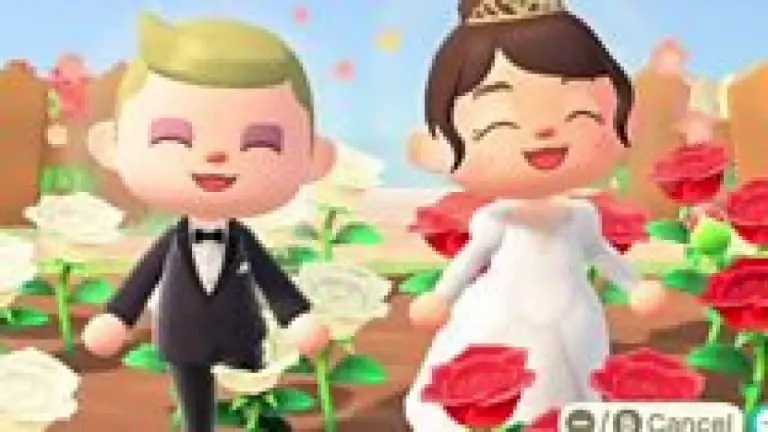 Coronavirus: Virtual marriage on Animal Crossing