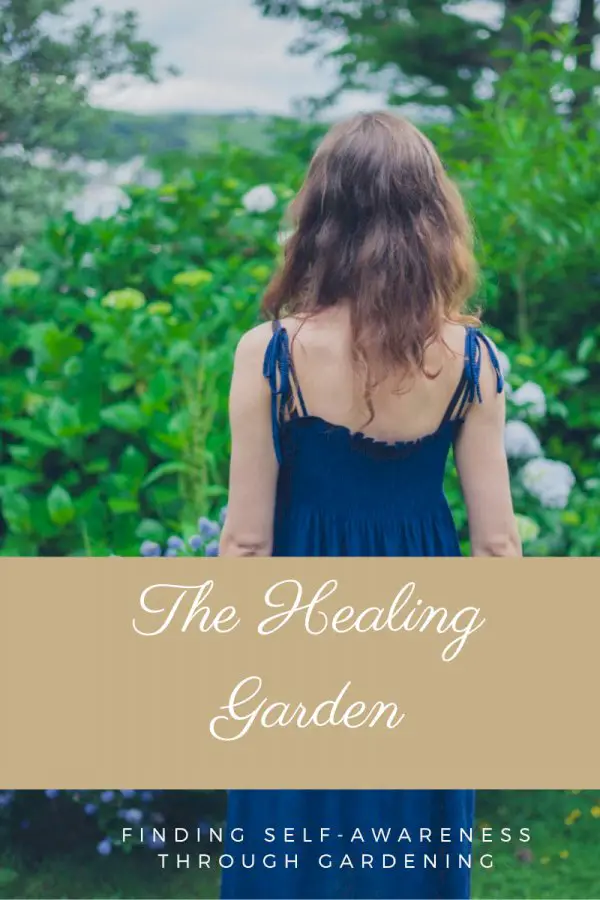 Garden Healing Effects: Developing Self-Awareness Through Gardening