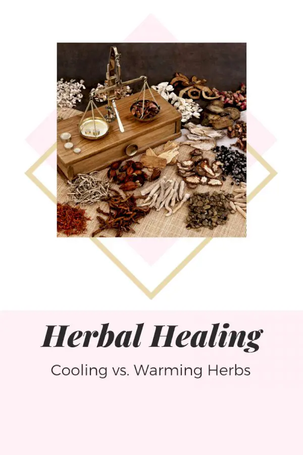 Cooling Vs. Warming Herbs – Learn About Herbs That Warm And Cool