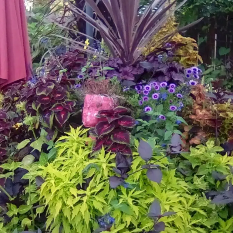 Color-Blind Plant Combinations