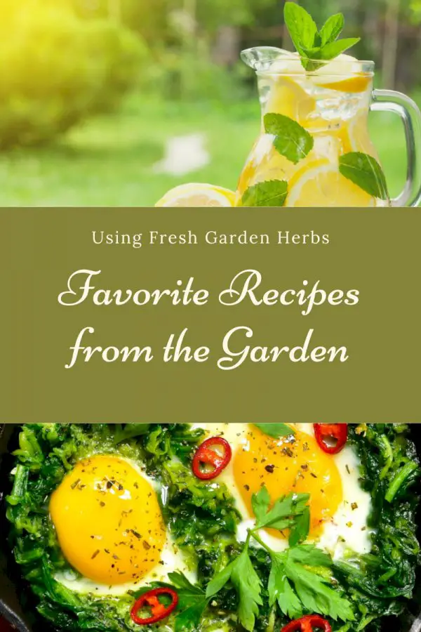 Using Fresh Garden Herbs: Favorite Recipes From The Garden