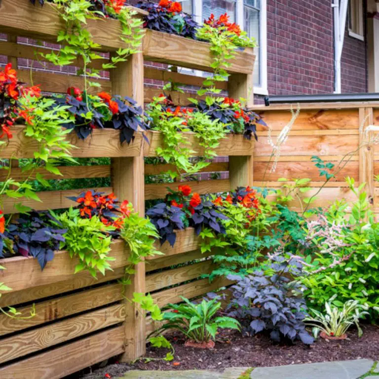 A Planted Fence