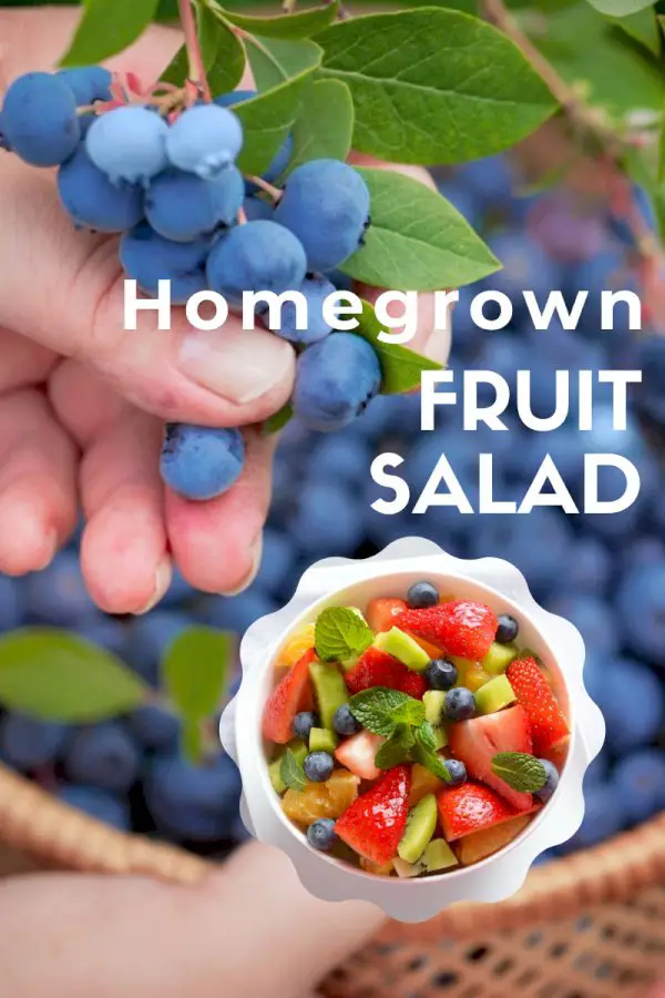 Homegrown Fruit Salad Recipe – No More Canned Fruit Salads