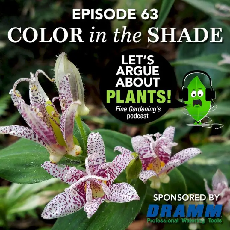 Episode 63: Color in the Shade