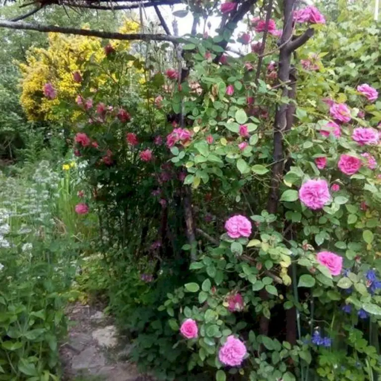 Permaculture Garden in France