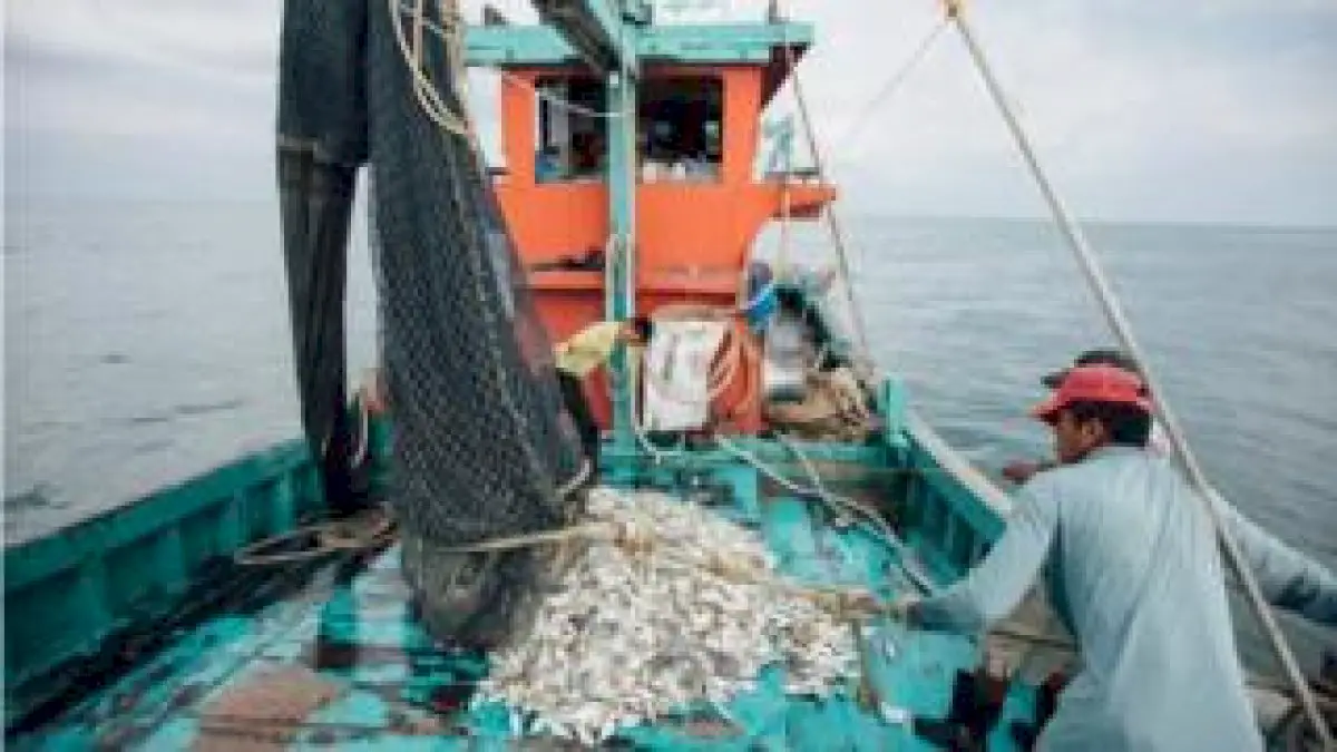 asia’s-fishermen-and-farmers-go-digital-during-virus