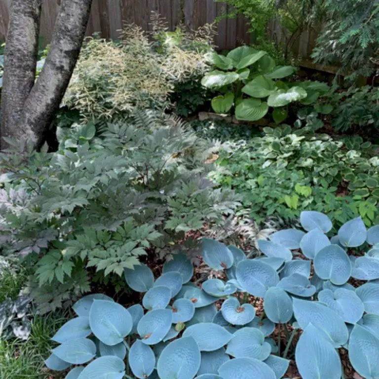 A Garden Built on Foliage