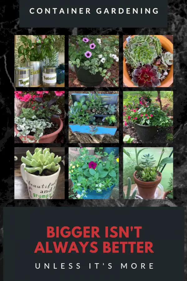 Containers For Gardening – Bigger Isn’t Always Better Unless It’s More