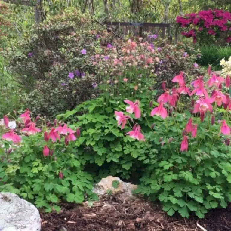 Spring in Rural New England