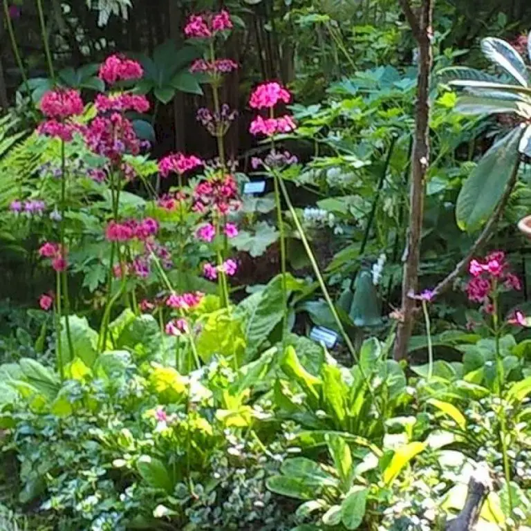 Spring in the Skyler Garden