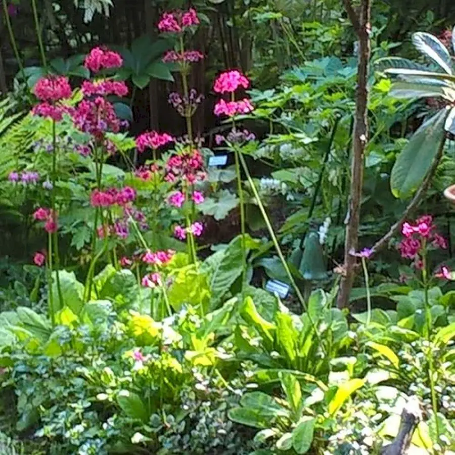 spring-in-the-skyler-garden