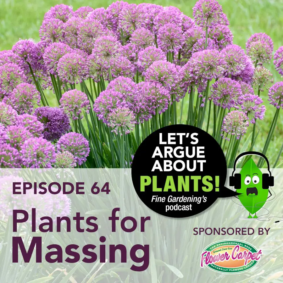 episode-64:-plants-for-massing