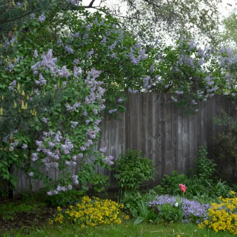 Saying Goodbye to a Garden