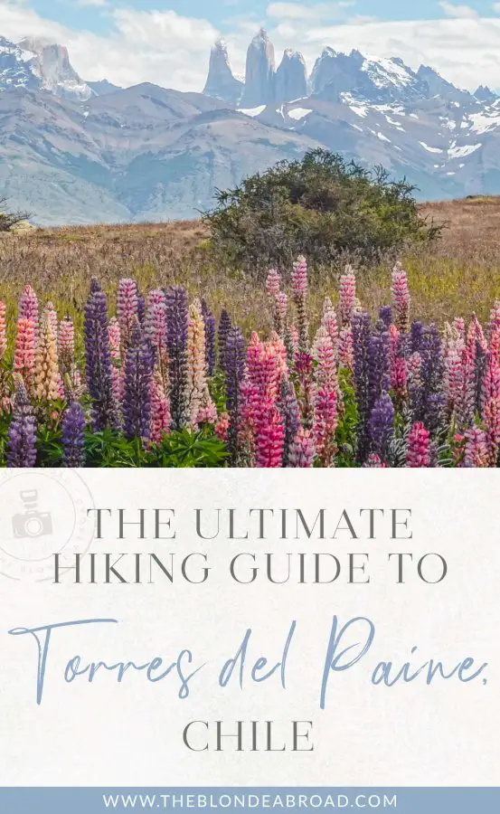 The Ultimate Hiking Guide to Torres del Paine, Chile