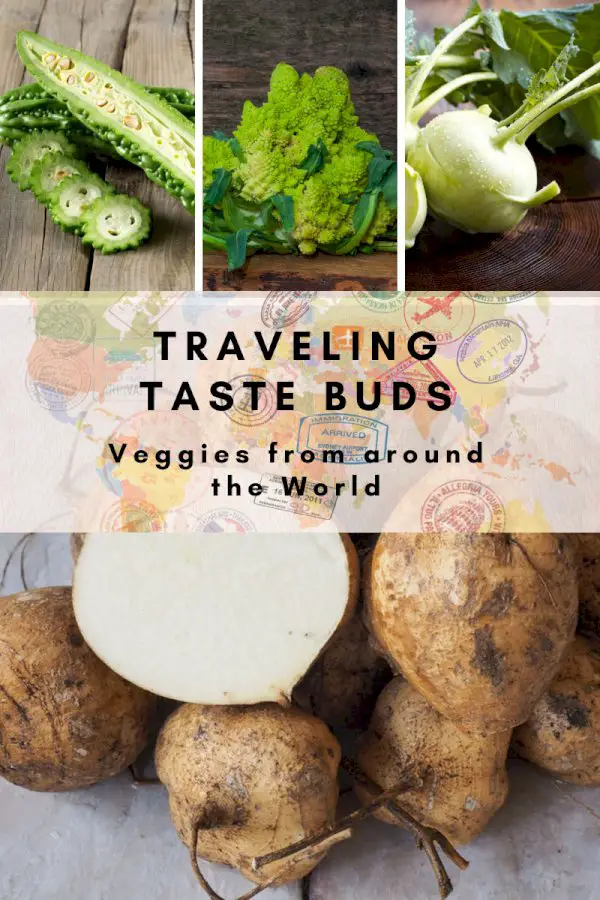 Traveling Taste Buds: Trying Veggies From Around The World