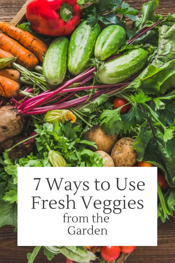 Vegetable Growing Tips: 7 Ways To Use Fresh Veggies From The Garden