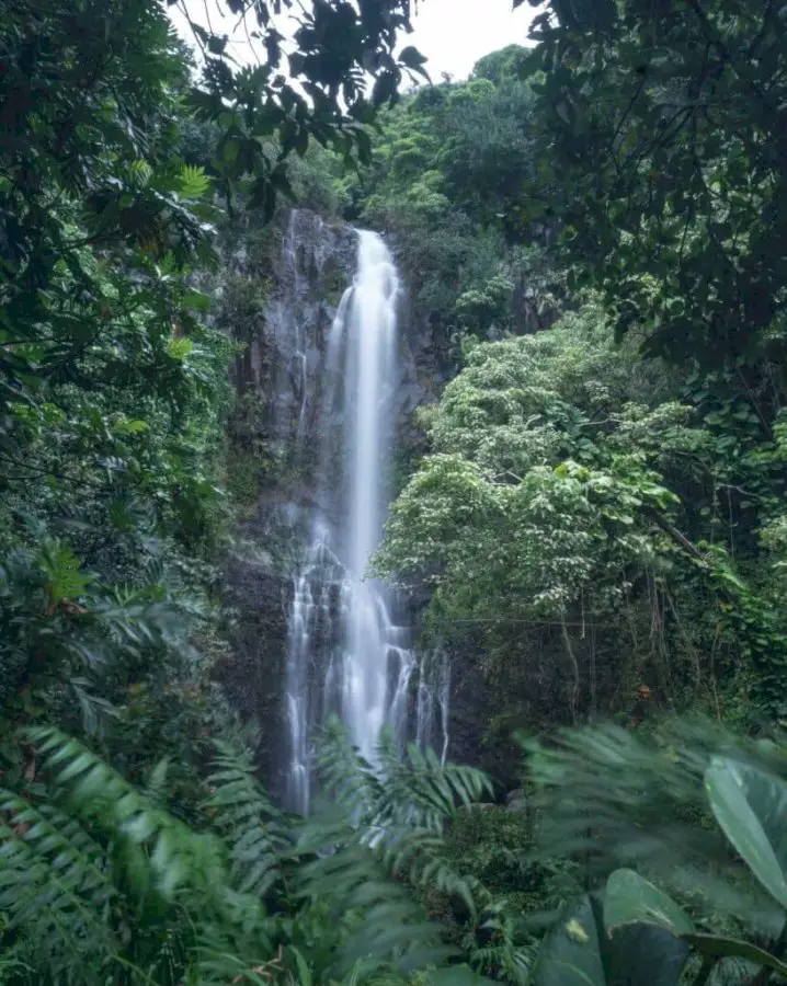 Secrets of the Road to Hana in Maui