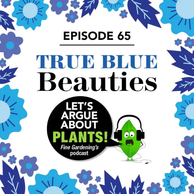 Episode 65: True Blue Beauties