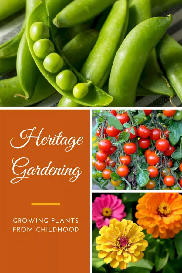 Heritage Gardening – Growing Plants From Childhood