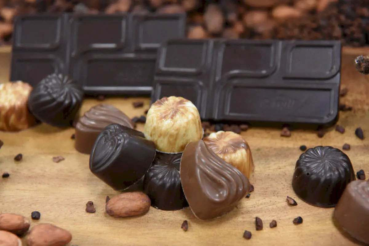 cargill-launches-first-chocolate-manufacturing-operation-in-asia,-with-growth-plans-across-region