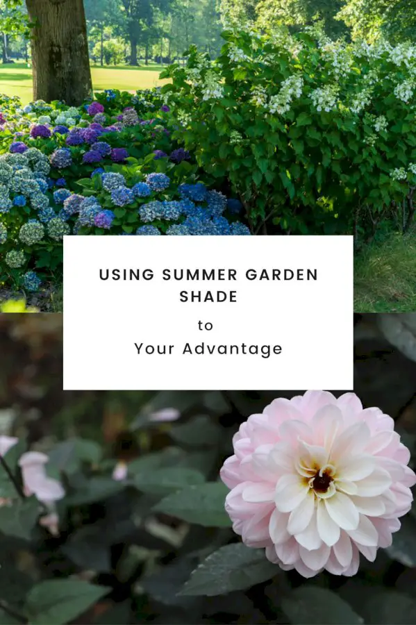 Using Summer Garden Shade To Your Advantage