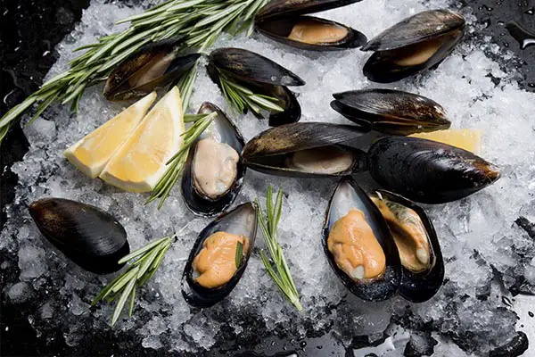 What Are the Benefits of Mussels?