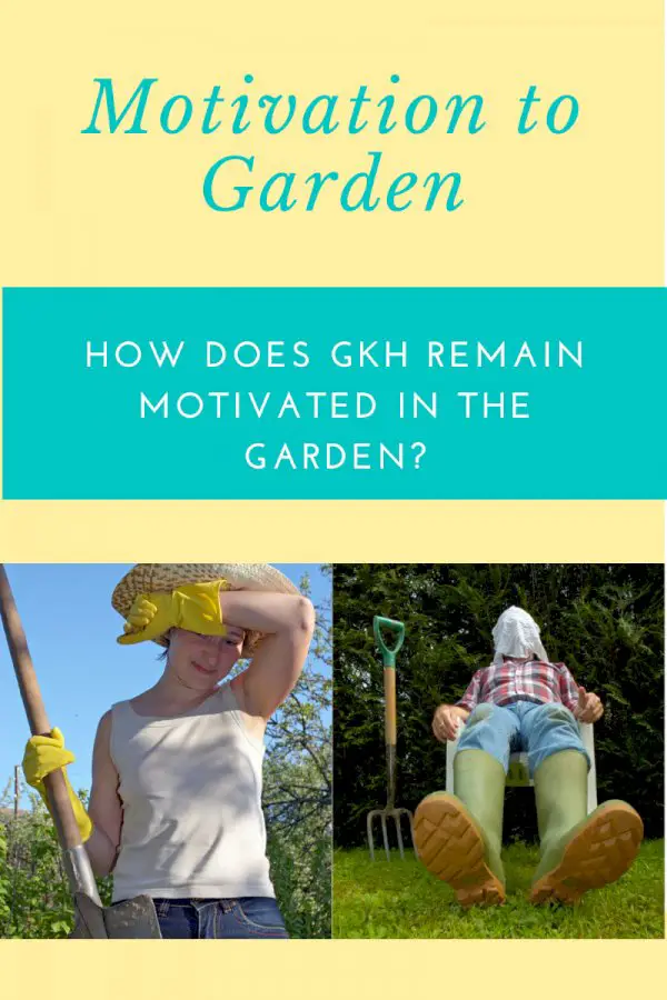 Motivation To Garden – How Does GKH Remain Motivated In The Garden