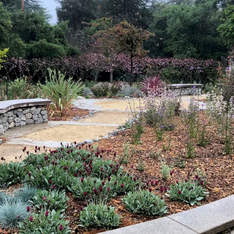 The Pros and Cons of Different Types of Mulch for Southern California