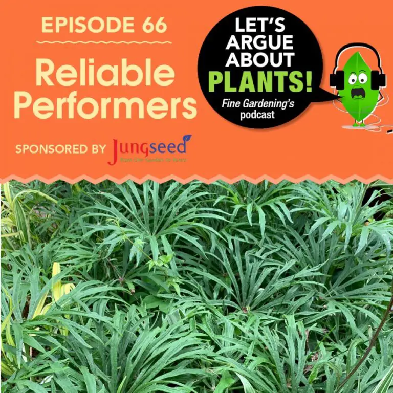 Episode 66: Reliable Performers