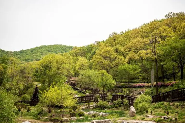 The city government of Incheon introduces nature tourist spots in the city