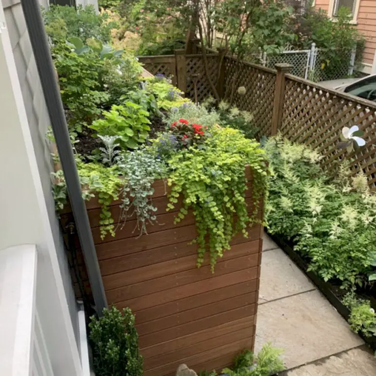 Storage Shed With a Green Roof