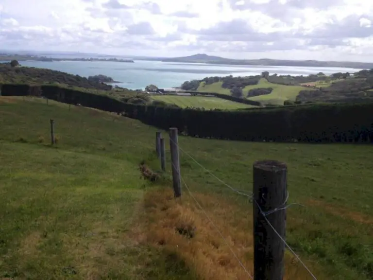 Sightseeing in Auckland With the Ferry