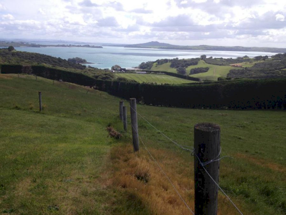 sightseeing-in-auckland-with-the-ferry