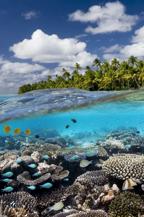 Cook Islands Bucket List: 15 Best Things to Do in the Cook Islands