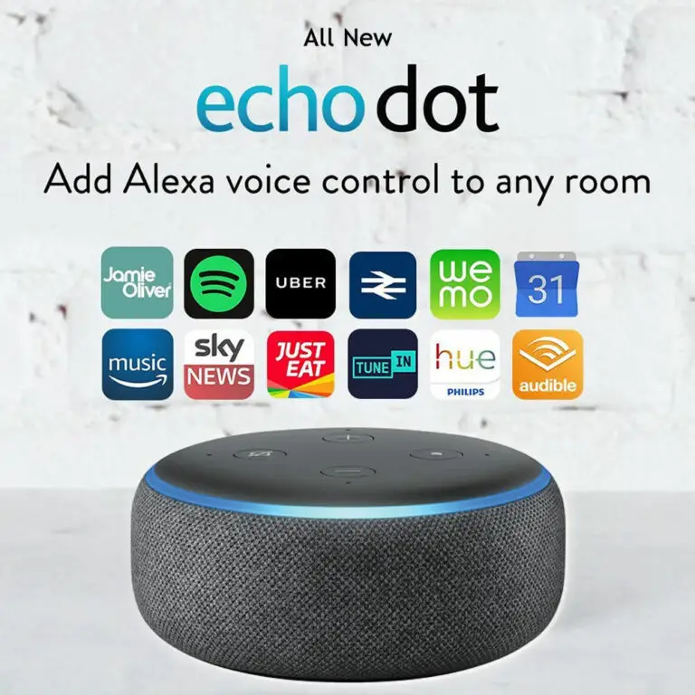 How to Set Up Echo Dot?