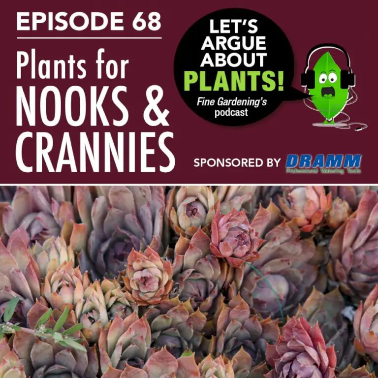 Episode 68: Plants for Nooks and Crannies