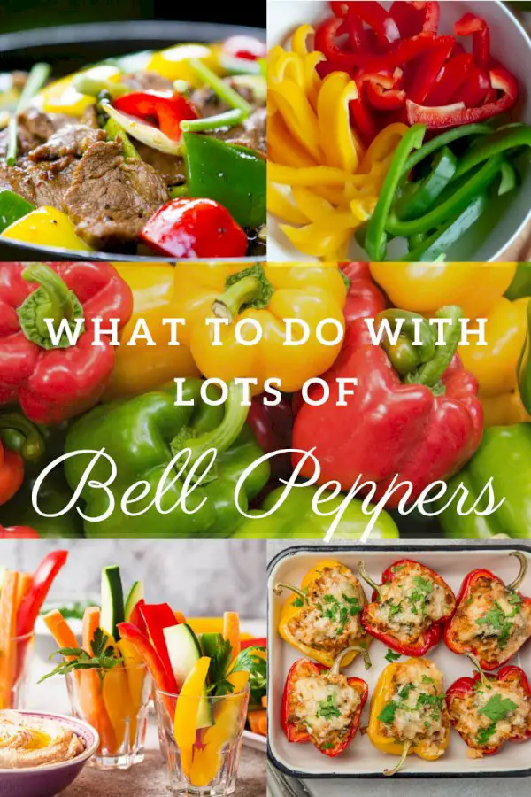 Picking Sweet Peppers: What To Do With Lots Of Bell Peppers