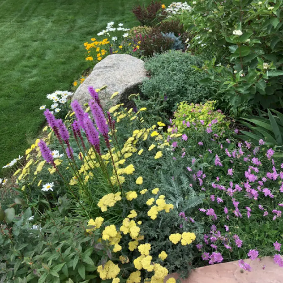 plant-collecting-in-colorado