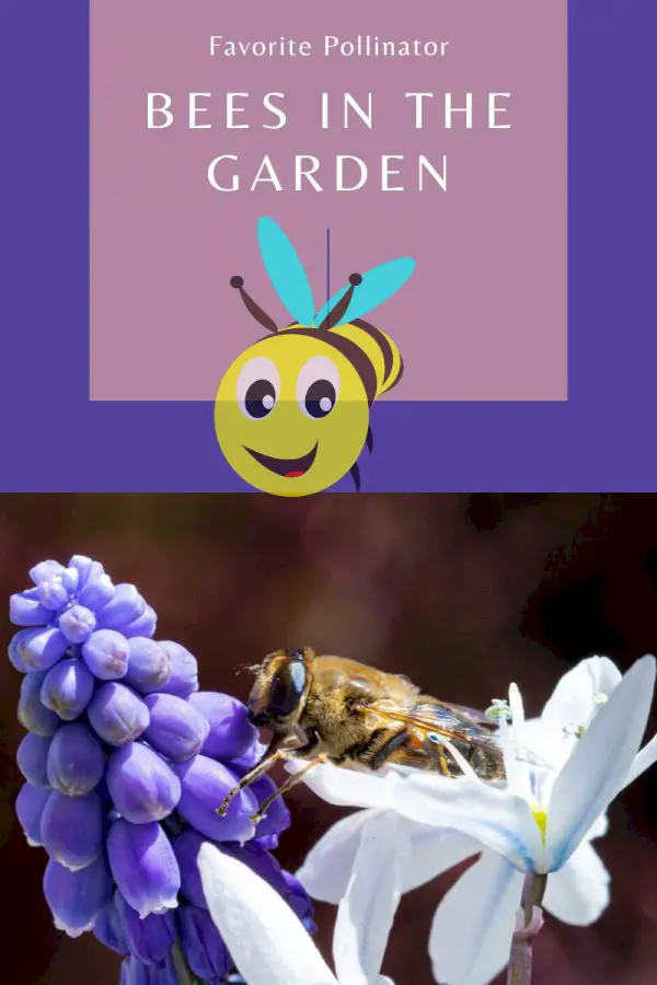 Bees vs. Wasps: Bees In The Garden Win Every Time