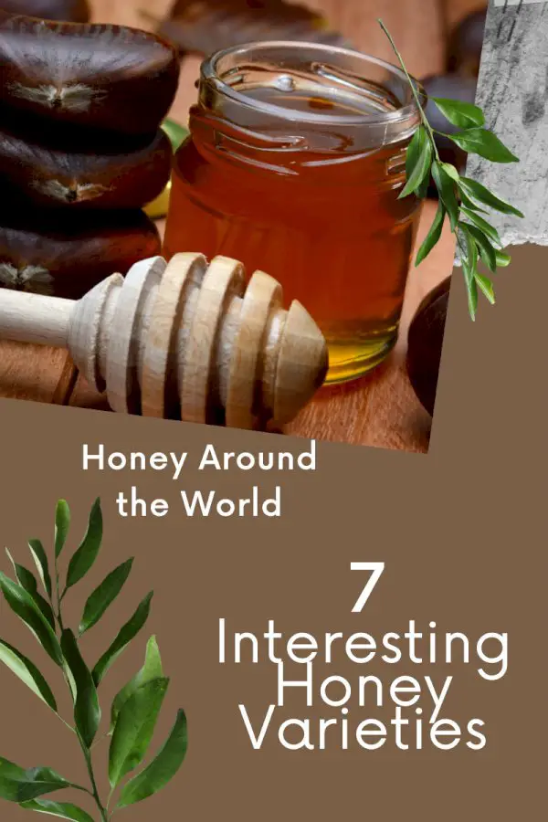 Honey Around The World: 7 Interesting Honey Varieties