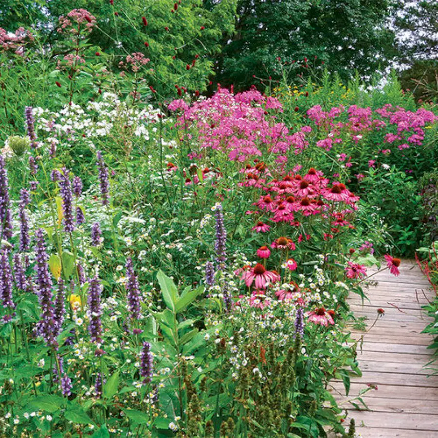 tour-a-stylish-pollinator-garden