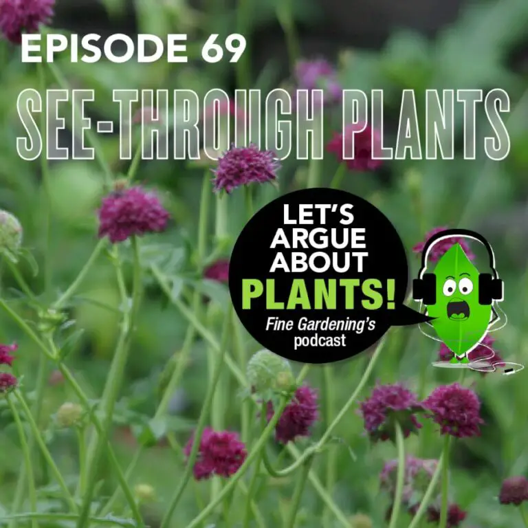 Episode 69: See-through Plants