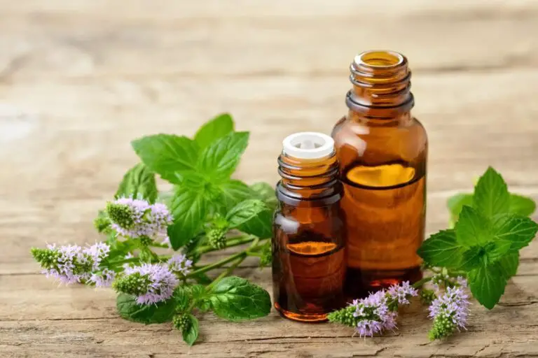 WHAT ARE ESSENTIAL OILS GOOD FOR?