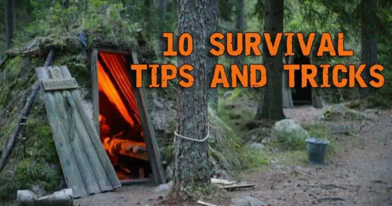 Best Wilderness Survival Tips