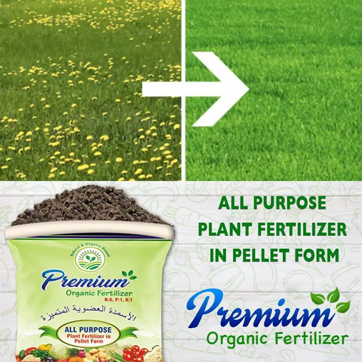 Top 5 Reasons To Switch To Organic Fertilizer.