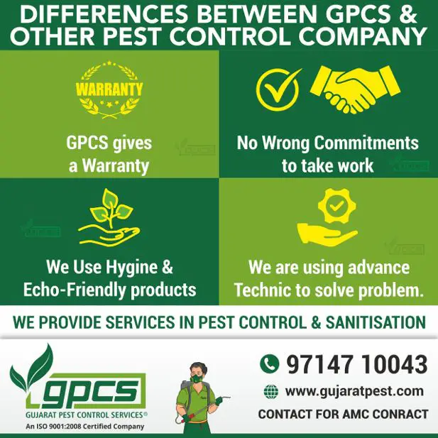 Are you in need of a Professional Pest Control service?
